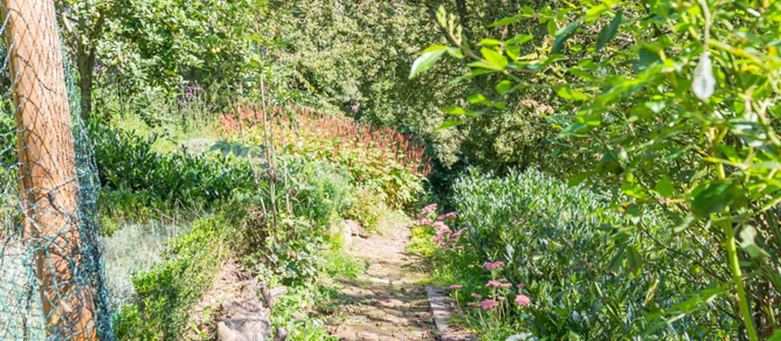 1770285765-21) wilde tuin (7)
